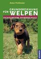 Grunderziehung für Welpen. Unter Mitarb. von Desirée Bethge / Fichtlmeiers Hunde