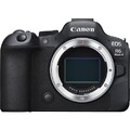 Canon R6 II spiegellose Kamera + RF Objektiv 24–105 mm f/4
