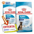 Royal Canin Hund → Puppy Maxi - 10/15 KG - Kroketten Hunde, Trocken für Hunde