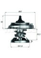 MAHLE Thermostat für MERCEDES G-KLASSE (W460,W461,W463),KOMBI (S124)