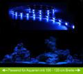 Creative Lights Aquarium Mondlicht 90 cm LED Blau Wasserdicht KOMPLETTSET