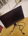 MSI Optix MAG241CP 23,6" Monitor