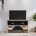 TV Schrank Fernsehtisch Lowboard HiFi Fernsehschrank Holzwerkstoff vidaXL
