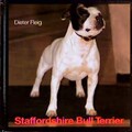 Staffordshire Bull Terrier Dieter, Fleig, Pringle Mary und Berry Norman: