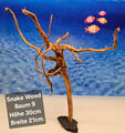 Snake Wood Baum Aquarium Wurzel auf Schieferplatte
