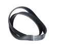 Continental ContiTech 6PK842 ELAST Keilrippenriemen für VW GOLF VI (5K1) 842mm