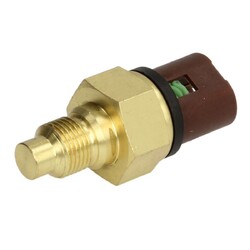 Sensor, Kühlmitteltemperatur DELPHI TS10484