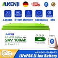 24V 100Ah LiFePO4 Batterie 25,6V 2,56kwh BMS RS485 für Home RV Boat Solarsystem