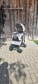 LOVPET® Hundewagen 2in1 Hundebuggy Hundebox Transporttasche Faltbar Buggy Jogger