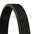 CONTINENTAL CTAM (6PK1310) Keilriemen, Keilrippenriemen für FIAT FORD LANCIA