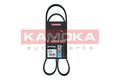 Kamoka (7016065) Keilrippenriemen