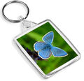 Hübscher blauer Schmetterling Schlüsselring Schmetterlinge Käfer Insekt Garten Schlüsselring Geschenk #14149