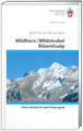Wildhorn / Wildstrubel / Blüemlisalp