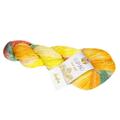 Wolle Kreativ! Lana Grossa - Ecopuno Hand dyed - Fb. 508 indra 50 g