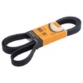 CONTINENTAL CTAM Keilrippenriemen 7PK2265