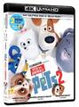 Pets 2 - Vita Da Animali (Blu-Ray 4K Ultra Hd+Blu-Ray) (Blu-ray)