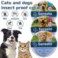 Insekten-Floh-und-Zeckenhalsband-8 Monate-Schutz-für-Haustier-Anti-Katzen-Hund A