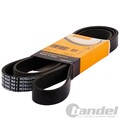 CONTI KEILRIPPENRIEMEN 8PK1220 passend für 8PK1217, 8PK1218, 8PK1219, 8PK1221,