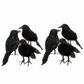 6er-Set Schwarz Taubenschreck Krähe Rabe Taubenabwehr Vogelschreck Lockvogel DE