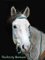 Trense geflochten Westerntrense aus 24 Farben  Zügel Flechttrense Pony, Pferd 