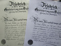 URKUNDE Orden v. Zähringer Löwen Ritterkreuz 2. Kl mit Schwertern FRIEDRICH 1871