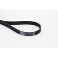 Keilrippenriemen Continental Ctam 6PK1120 für Audi für Seat für Skoda für VW