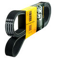 CONTITECH 4PK855 Keilrippenriemen für AUDI 100 C4 80 B3 B4 A4 B5 B6 A6 C5 BMW 3