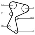 CONTINENTAL CTAM Zahnriemen  u.a. für RENAULT, VOLVO