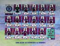 Adrenalyn XL Premier League Panini 2023/24 Full Aston Villa Team Set 18 Karten