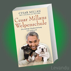 TIPPS VOM HUNDEFLÜSTERER + WELPENSCHULE | CESAR MILLAN