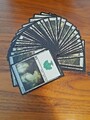 Magic the Gathering 50 x Forest / Wald Standard Land Basic in Englisch MTG