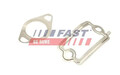 Dichtung der AGR-Ventilleitung FT49925 FAST für ALFA ROMEO BMW CADILLAC CHRYSLER