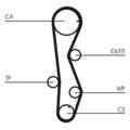 CONTINENTAL CTAM Wasserpumpe + Zahnriemensatz CT1099WP1 für HYUNDAI KIA