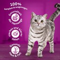 Whiskas Adult 1 Trockenfutter Katzenfutter Erwachsene Katzen Huhn 5 x 800g