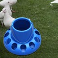 Tragbarer Hühnerfutterspender, automatischer Futtereimer für Chook Hen