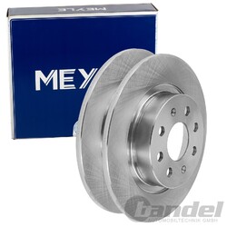 2X MEYLE BREMSSCHEIBEN 264mm HINTEN PASSEND FÜR ABARTH GRANDE PUNTO FIAT GRANDE