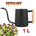 1L Gießkanne Edelstahl mit Holzgriff, Giesskanne Klein Langer Ausguss Gießkanne