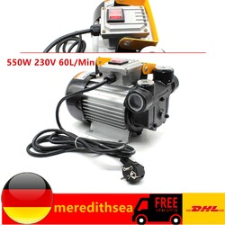 Heizölpumpe Dieselpumpe Selbstansaugend 550W 220V Pumpe Ölabsaugpumpe 60L/min