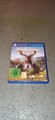 The Hunter | Call of the Wild | Playstation 4
