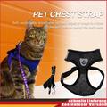 Pet Cat Dog Harness Kitten Mesh Vest Walking Leine für das Training (Schwarz M) 