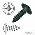 Blechschrauben Flachkopf Scheibe Kreuzschlitz Torx schwarz verzinkt 3,9 - 4,8 mm