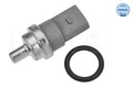 Meyle Sensor, Kühlmitteltemperatur 100 919 0032 für VW