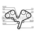 CONTINENTAL CTAM (CT1052) Zahnriemen für CITROEN FIAT LANCIA PEUGEOT RENAULT