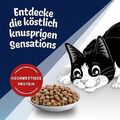 FELIX Inhome Sensations Katzenfutter trocken für Hauskatzen, mit Huhn & Gemüse,