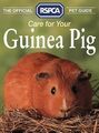 The Official RSPCA Pet Guide - Care for your Guinea Pig, RSPCA, Used; Good Book