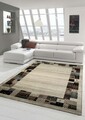 Designer Teppich Moderner Teppich Wohnzimmer Teppich mit Bordüre Design Multicol