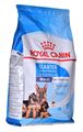 3182550778770 ROYAL CANIN SHN Maxi Starter Mother & Babydog - Trockenfutter 