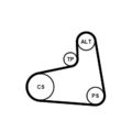 CONTINENTAL CTAM 6PK906K1 Keilrippenriemensatz für AUDI SEAT SKODA VW