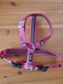 Dog Copenhagen Comfort Walk Air Harness Geschirr Wild Rose