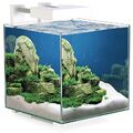 Ciano AQUARIUM CUBE nexus 15  Nano Aquarium Garnelen Shrimp Set komplett 